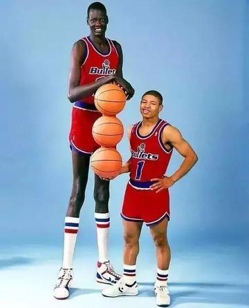 最高NBA身高是多少？聊聊那些巨人和真实数据
